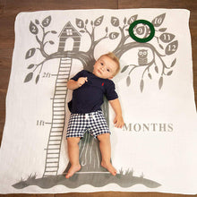 Load image into Gallery viewer, Baby&#39;s First Year Milestone Blanket and Felt Circle Set

