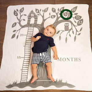 Baby's First Year Milestone Blanket and Felt Circle Set